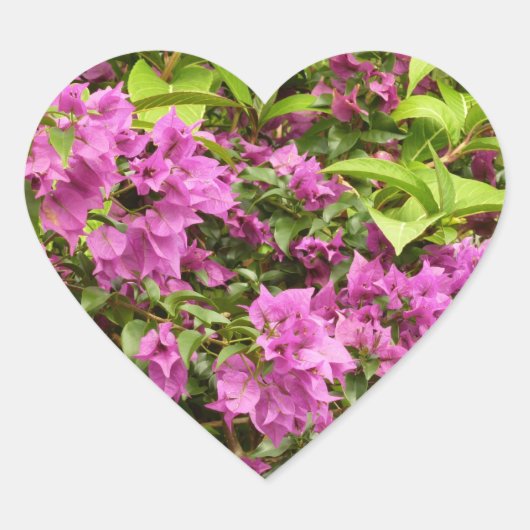 Tropisch Paarse Bougainvillea Floral Hart Sticker (Voorkant)