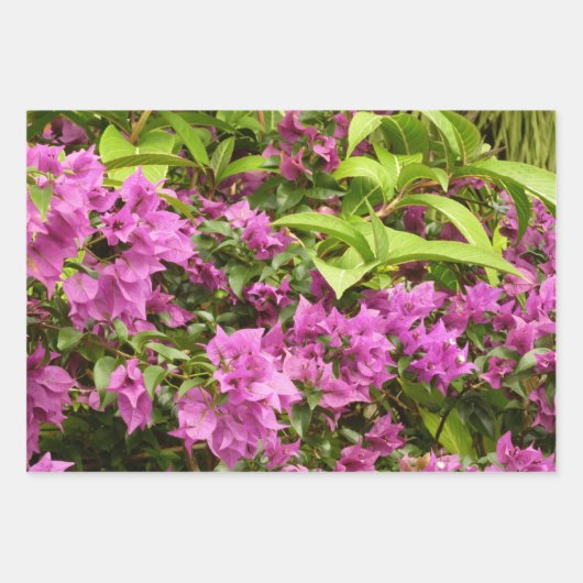 Tropisch Paarse Bougainvillea Floral Inpakpapier Vel (Voorkant)
