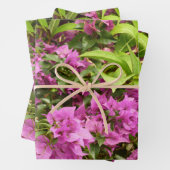 Tropisch Paarse Bougainvillea Floral Inpakpapier Vel (In situ)