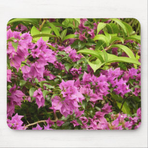 Tropisch Paarse Bougainvillea Floral Muismat