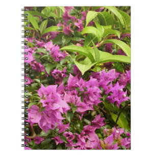 Tropisch Paarse Bougainvillea Floral Notitieboek