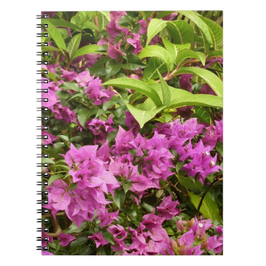 Tropisch Paarse Bougainvillea Floral Notitieboek (Voorkant)