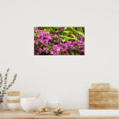 Tropisch Paarse Bougainvillea Floral Poster (Keuken)
