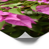 Tropisch Paarse Bougainvillea Floral Poster (Hoek)