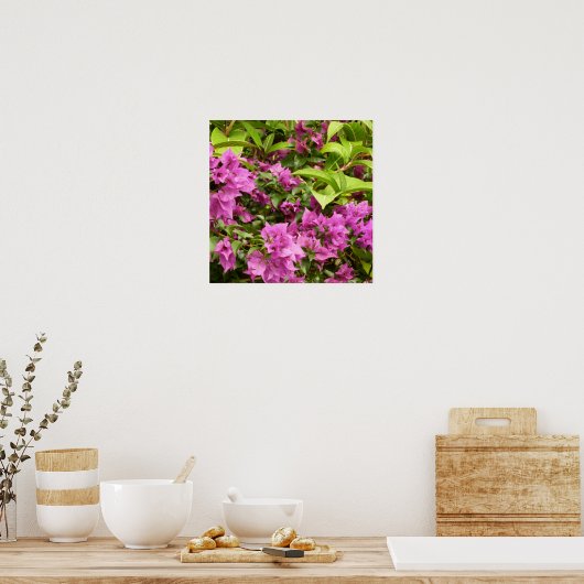 Tropisch Paarse Bougainvillea Floral Poster (Keuken)