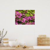 Tropisch Paarse Bougainvillea Floral Poster (Keuken)