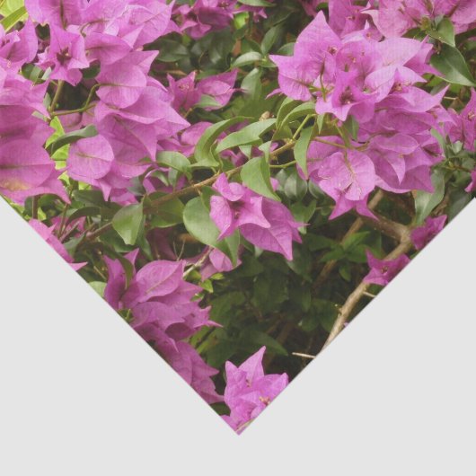 Tropisch Paarse Bougainvillea Floral Tissuepapier (Detail)