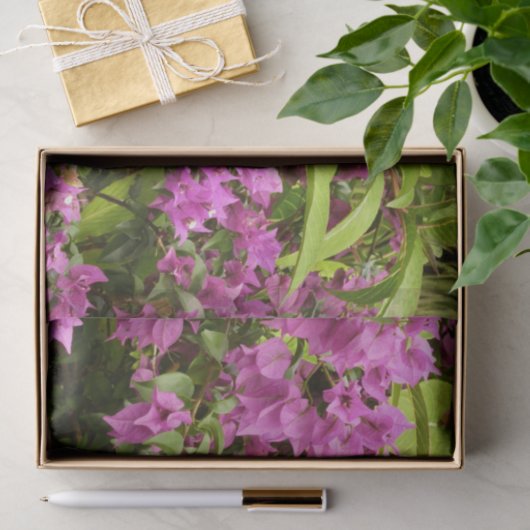 Tropisch Paarse Bougainvillea Floral Tissuepapier (Geschenk)