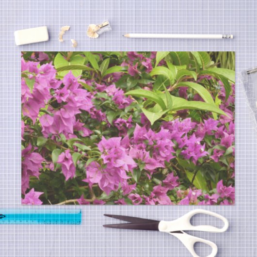 Tropisch Paarse Bougainvillea Floral Tissuepapier (Craft)