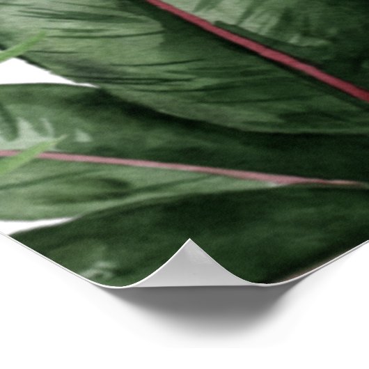 Tropisch palm Banana Leaf Greenery Modern Welkom Poster (Hoek)