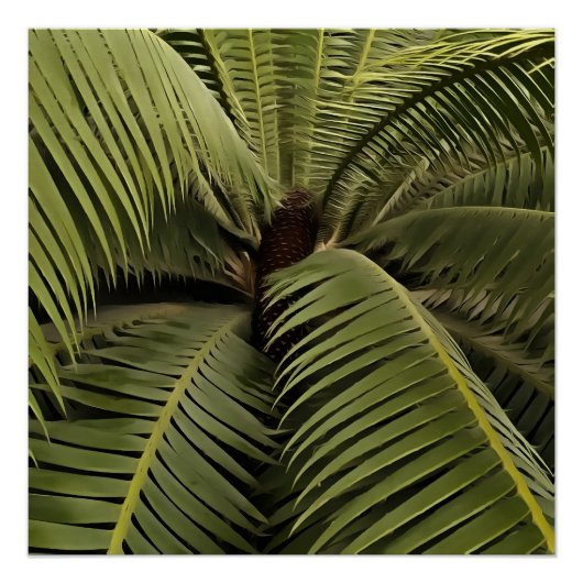 Tropisch palm Botanische Kunstdion Spinulosum Perfect Poster (Voorkant)