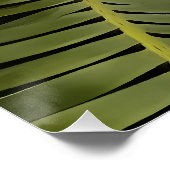 Tropisch palm Botanische Kunstdion Spinulosum Perfect Poster (Hoek)