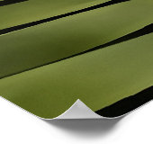 Tropisch palm Botanische Kunstdion Spinulosum Poster (Hoek)