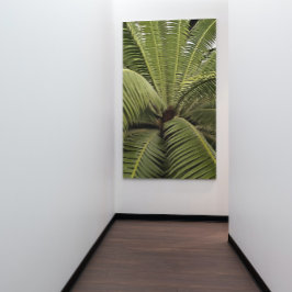 Tropisch palm Botanische Kunstdion Spinulosum Poster