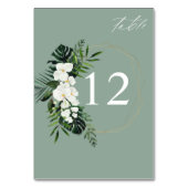 Tropisch palm en wit Florentietabel nummer -M Groe Kaart (Achterkant)