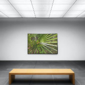 Tropisch palm zwart omlijnde kunst canvas afdruk