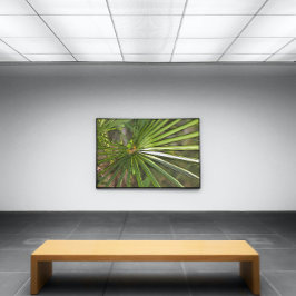 Tropisch palm zwart omlijnde kunst canvas afdruk