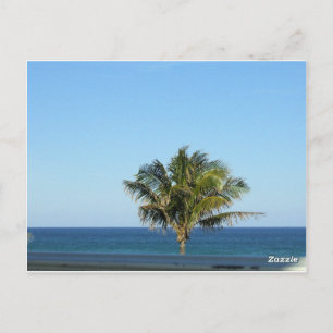 Tropisch palmboom oceaan horizon ansichtkaart ontw briefkaart
