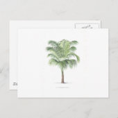 Tropisch palmcollectie - afbeelding 1 briefkaart (Voorkant / Achterkant)