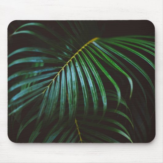 Tropisch palmpelleder die groen kalmeren ontregelt muismat (Voorkant)