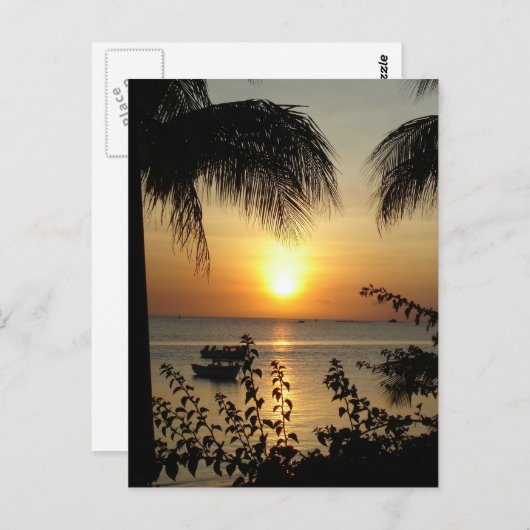 Tropisch paradijs briefkaart (Voorkant / Achterkant)