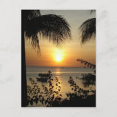 Tropisch paradijs briefkaart (Voorkant)