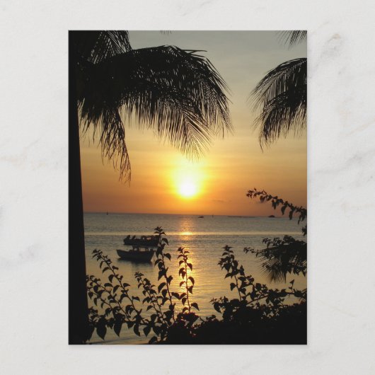 Tropisch paradijs briefkaart (Voorkant)