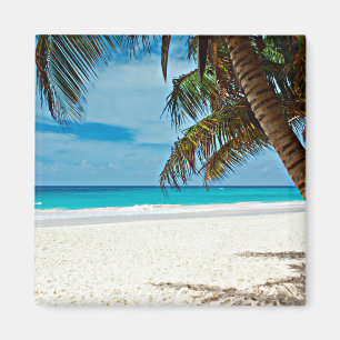 Tropisch paradijs magneet