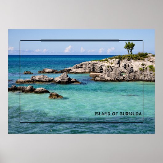 Tropisch paradijs poster (Voorkant)