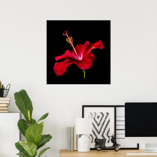 Tropisch Paradijs Rode Hibiscus Bloem & Zwart Poster