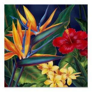 Tropisch paradise hawaiian Floral Posters