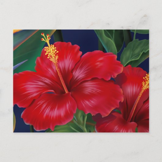Tropisch paradise Hibiscus Briefkaart (Voorkant)