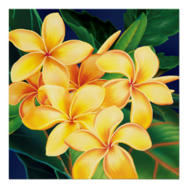 Tropisch Paradise Plumeria Hawaiian Poster