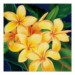 Tropisch Paradise Plumeria Hawaiian Poster