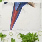 Tropisch Parrot Kitchen Towel Theedoek (Gevouwen)
