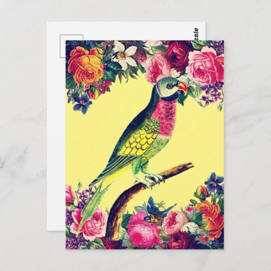 Tropisch parrot  ontwerp briefkaart (Voorkant / Achterkant)