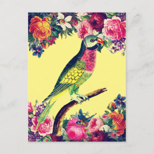 Tropisch parrot  ontwerp briefkaart