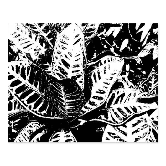 Tropisch Plant Rubberstempel (Afrduk)