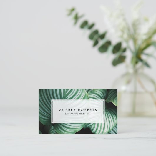 Tropisch Plant voor professionele landschapsarchit Visitekaartje (Staand voorkant)