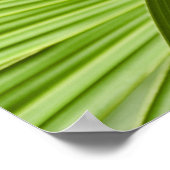 Tropisch Poster (Hoek)