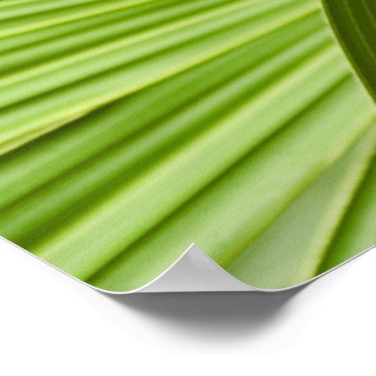 Tropisch Poster (Hoek)