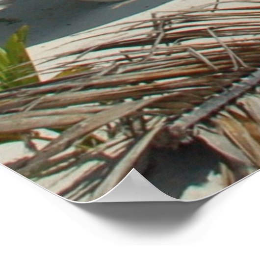 Tropisch Poster palmveer (Hoek)