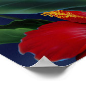 Tropisch Poster voor Paradise Fine Art (Hoek)