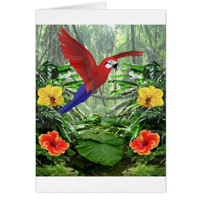 Tropisch regenwoud (Voorkant)