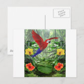 Tropisch Regenwoud Briefkaart (Voorkant / Achterkant)