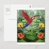 Tropisch regenwoud briefkaart (Voorkant / Achterkant)