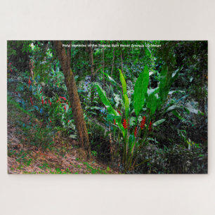 Tropisch regenwoud Grenada Cariben. Legpuzzel
