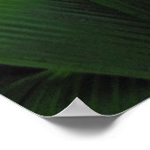 Tropisch regenwoud Hawaiian Poster (Hoek)