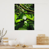Tropisch regenwoud Hawaiian Poster (Keuken)
