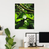 Tropisch regenwoud Hawaiian Poster (Thuiskantoor)